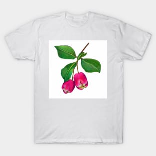 Lilly Pilly T-Shirt